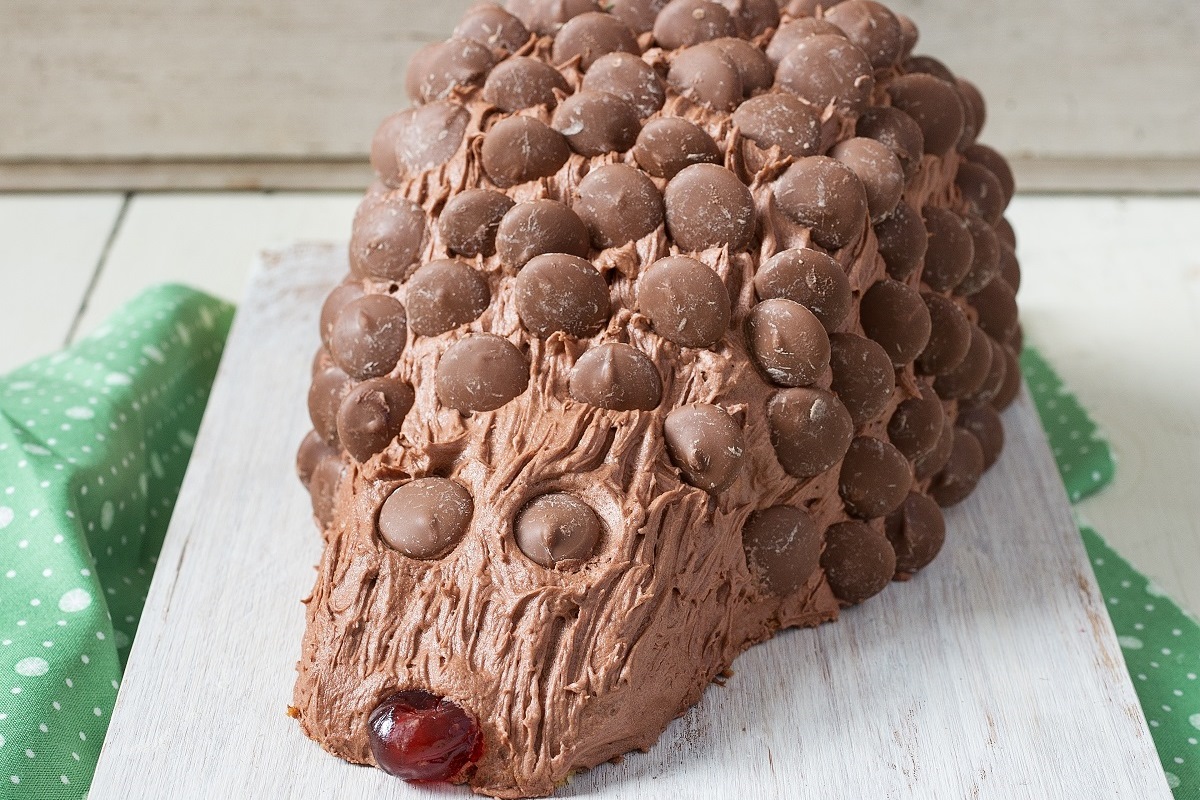 hedgehog novelty cake