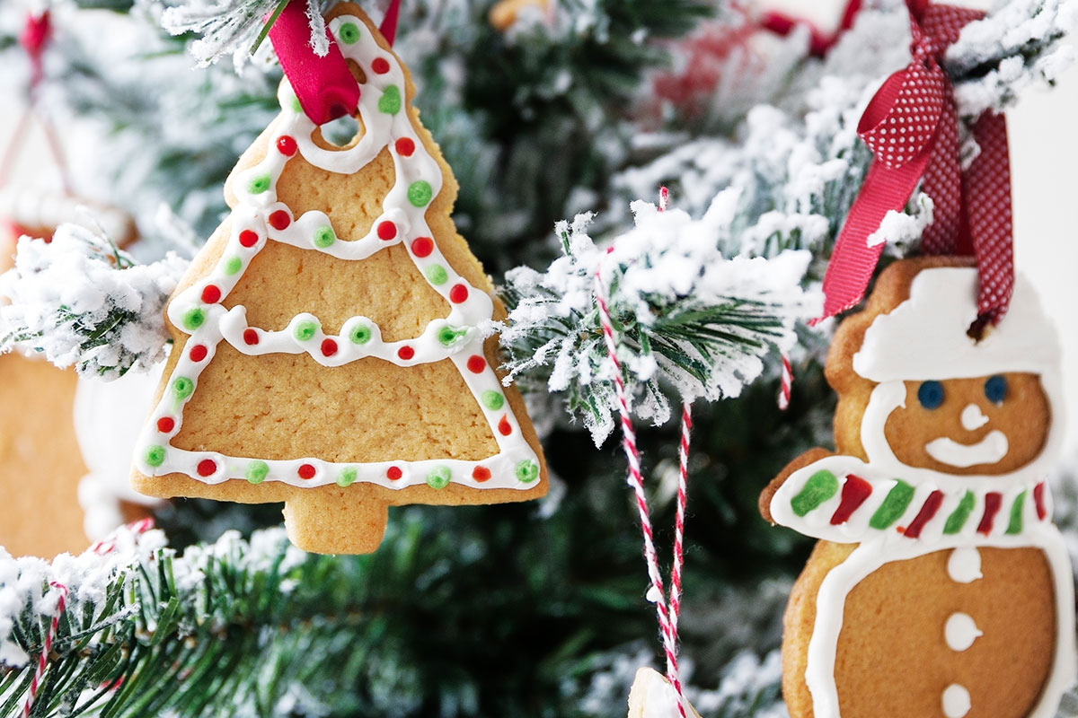 Christmas Cookies Recipe  Odlums